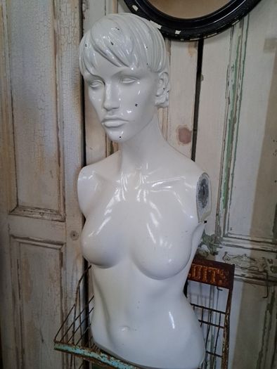 Mannequin Torso