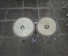 club salsa bongos percussion drum