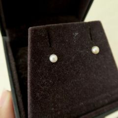 White Pearl Stud Earrings