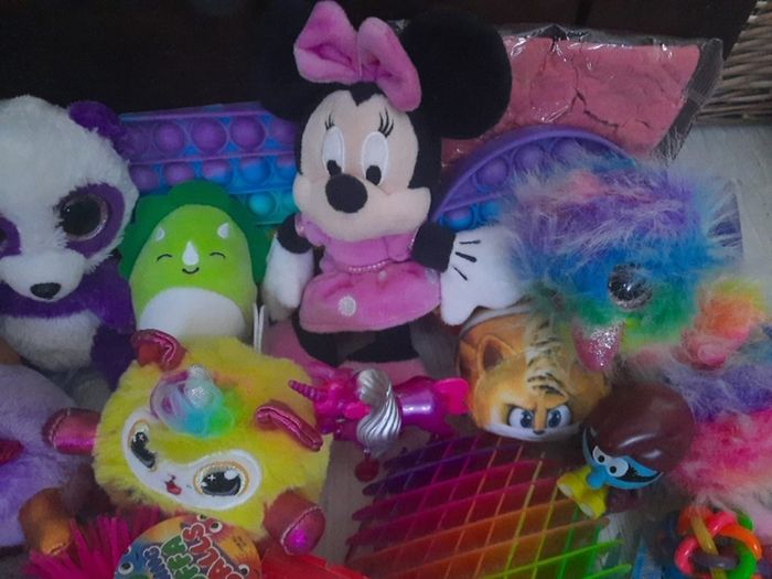 girls toy bundle