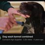 dog kennel / grooming bath Image 3