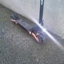 electric scooter Image 5