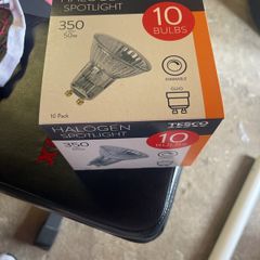 light bulb halogen spotlight