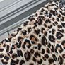 Brand New Leopard print top Image 4