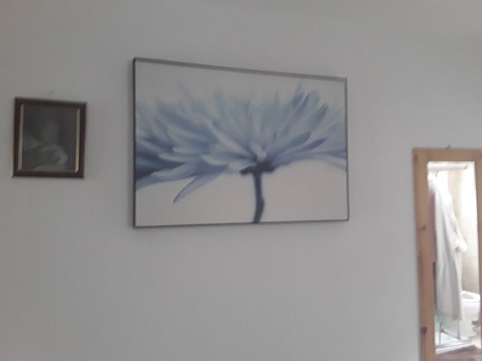 large picture