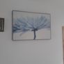 large picture Image 3