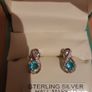 Fields earrings Image 4