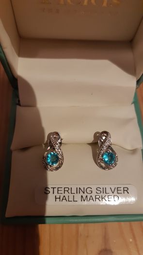 Fields earrings