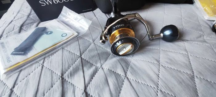 Shimano Stella SW 6000 HG