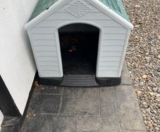 dog house