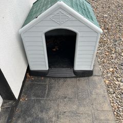 dog house