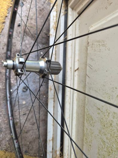 Pagini frameset and carbon wheels .