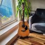 Acoustic Fender Guitar 12 String Image 8