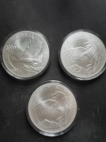 10 oz silver .999 fine silver bullion coins