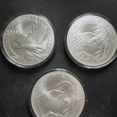 10 oz silver .999 fine silver bullion coins