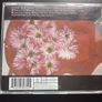 Beth Orton - Central Reservation CD Image 3