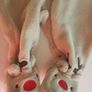 christmas reindeer suit onesie babygro Image 3