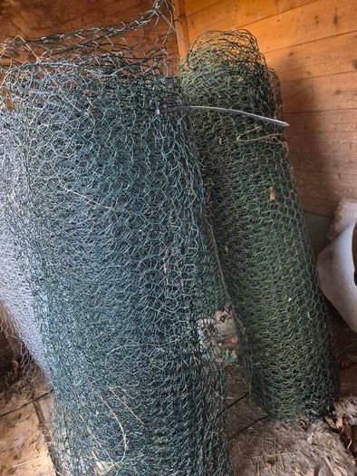 Chicken run,rabbit run