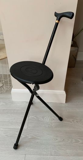 Walking stick with seat