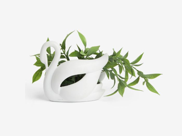 NEXT artificial plant