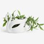 NEXT artificial plant Image 2
