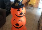 halloween decorations