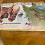 Hardback Dinosaur Book Image 3