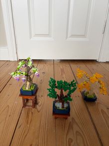 Lego Botanicals Mini Bonsai Trees