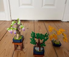 Lego Botanicals Mini Bonsai Trees