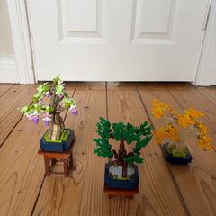 Lego Botanicals Mini Bonsai Trees