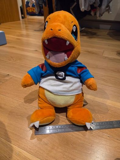 Pokemon teddys