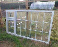 window 239 x 138