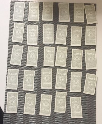 Will's Trading