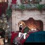 Christmas photography backdrop Image 7