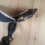 Coach Horse & carriage camera bag 16 Image 3