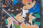 demon slayer vol 1