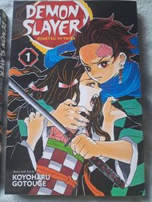 demon slayer vol 1