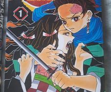 demon slayer vol 1