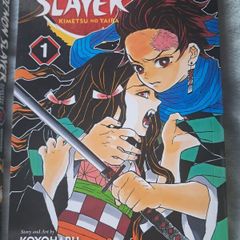 demon slayer vol 1