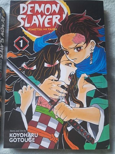 demon slayer vols 1-9