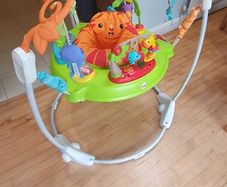 Fisher Price Jumperoo