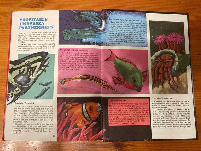 Comic: 'Barrier Reef' annual 1972
