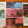 Comic: 'Barrier Reef' annual 1972 Image 9
