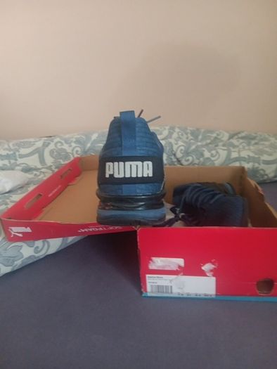 puma