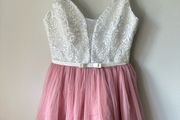 Tulle lace mini dress