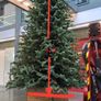 17ft Commercial Christmas tree Image 3