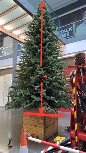 17ft Commercial Christmas tree