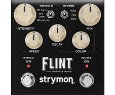 Strymon Flint V2
