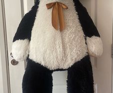 Giant Teddy