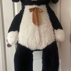 Giant Teddy